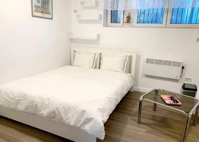 Central Studio Flat